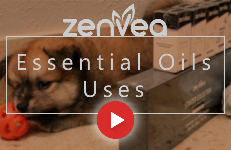 Essential Oil Uses
